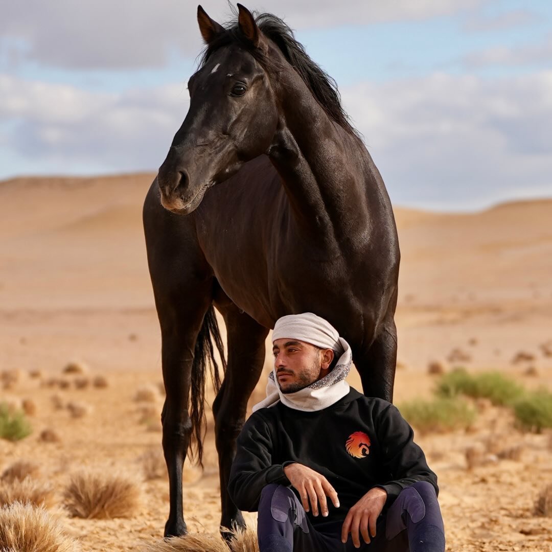 Tunis Stable in Fayoum preview